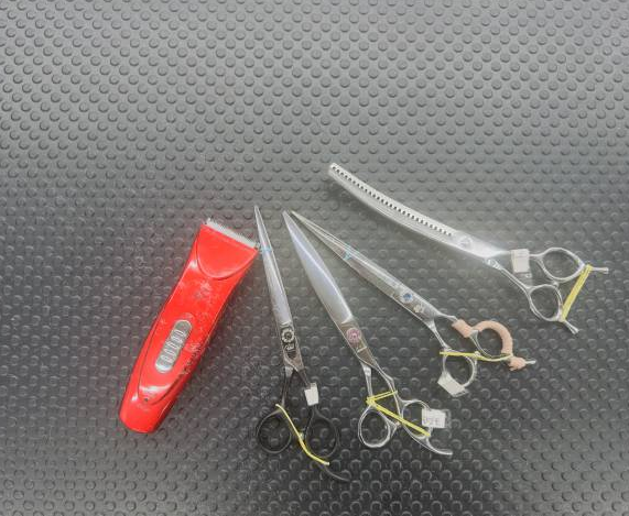 부천 애견미용학원, 국비 과정보다 이바우펫 추천하는 이유 — 사진 4