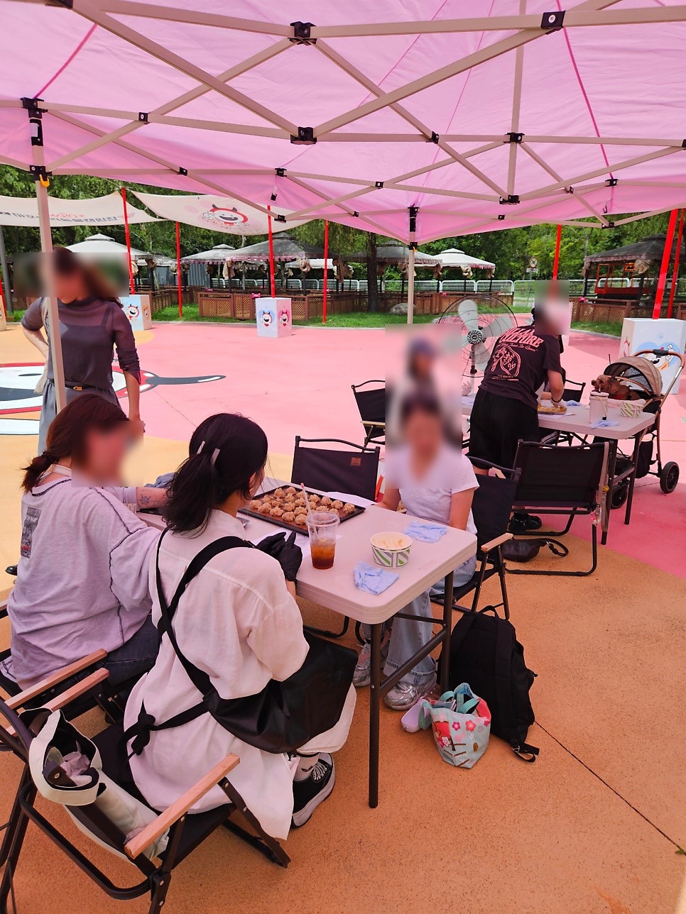 마포 강아지 펫푸드 출장 클래스 후기 — 사진 4