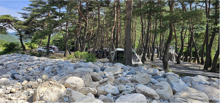 월악파인오토캠핑장 송계계곡