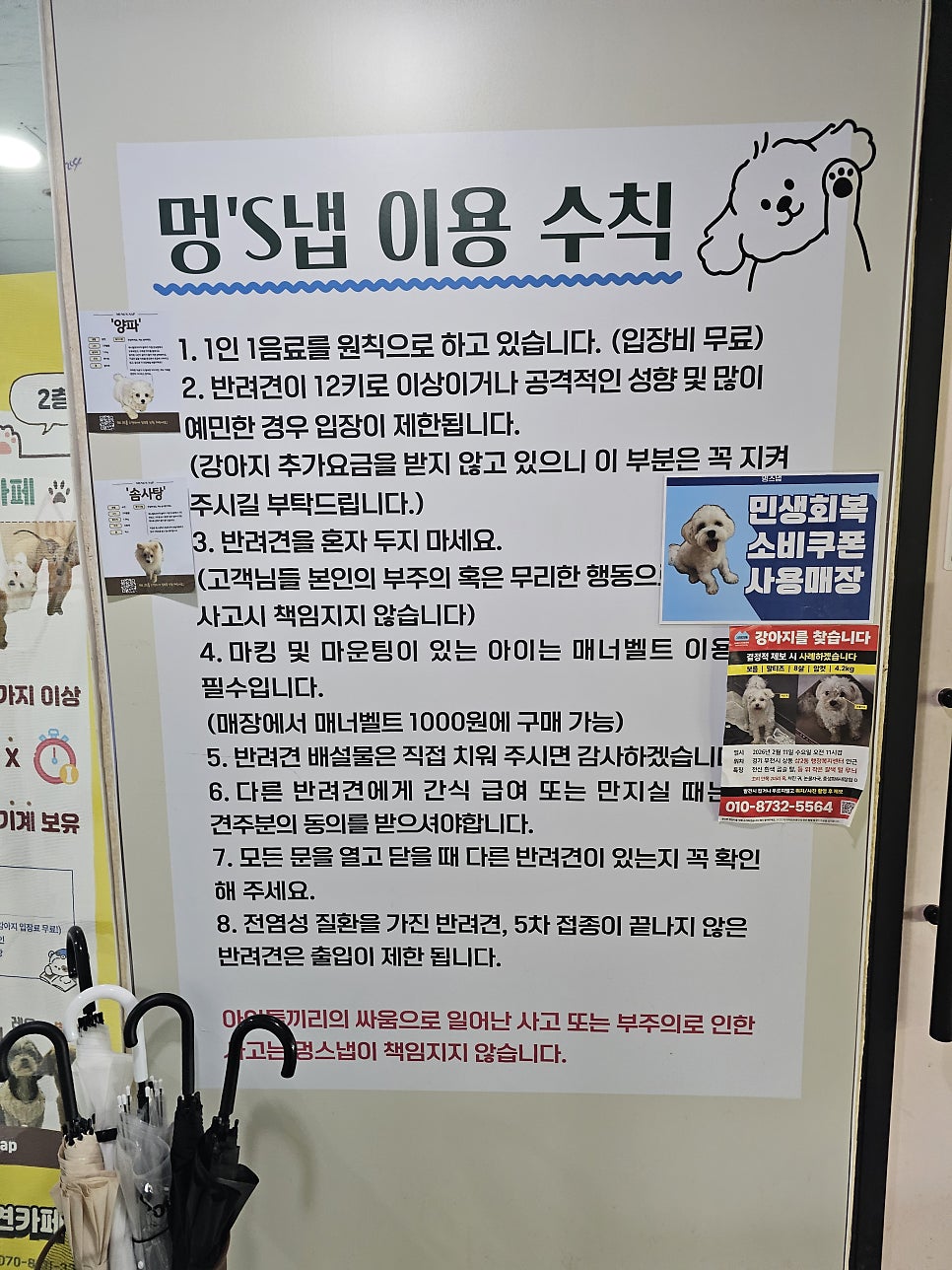 부천 멍스냅 애견카페: 유기견 교감 & 입장료 후기 — 사진 3