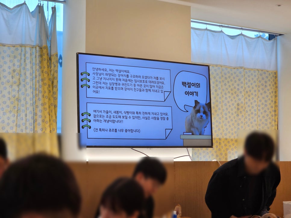 부천 멍스냅 애견카페: 유기견 교감 & 입장료 후기 — 사진 16