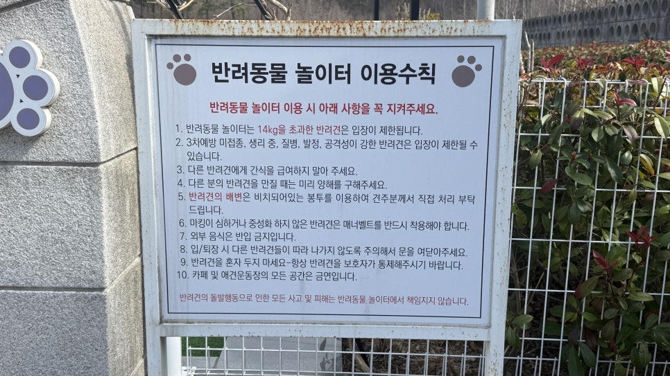 언양휴게소 강아지 놀이터, 목줄 없이 신나게! — 사진 4