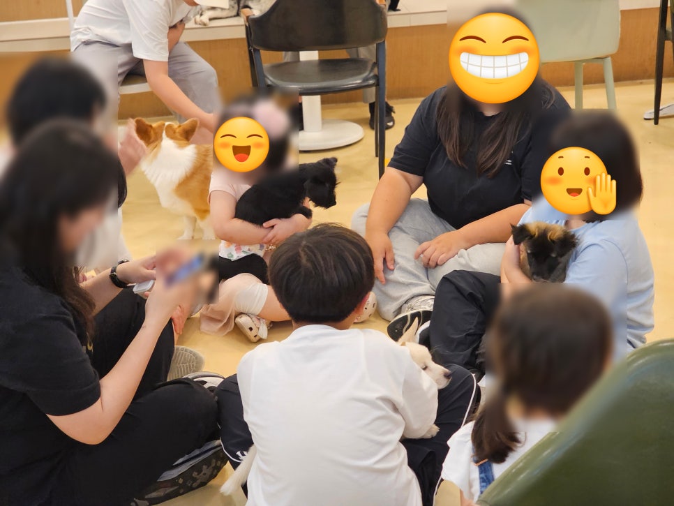 부천 멍스냅 애견카페: 유기견 교감 & 입장료 후기 — 사진 14