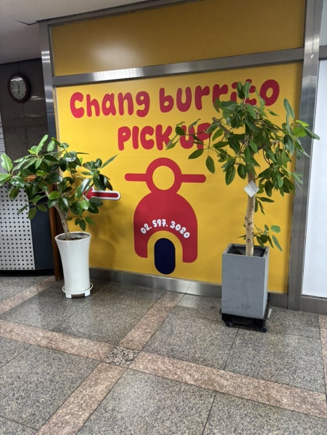 창부리또 사진 3