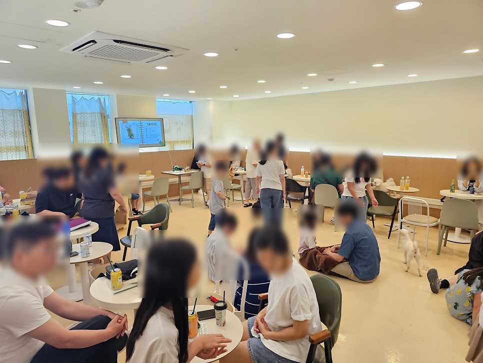 부천 멍스냅 애견카페: 유기견 교감 & 입장료 후기 — 사진 6