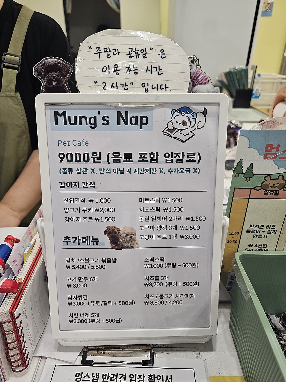 부천 멍스냅 애견카페: 유기견 교감 & 입장료 후기 — 사진 4
