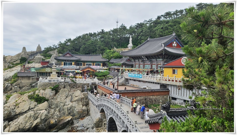 부산 부산 해동용궁사: 동해 절벽 위 신비로운 해안 사찰 여행