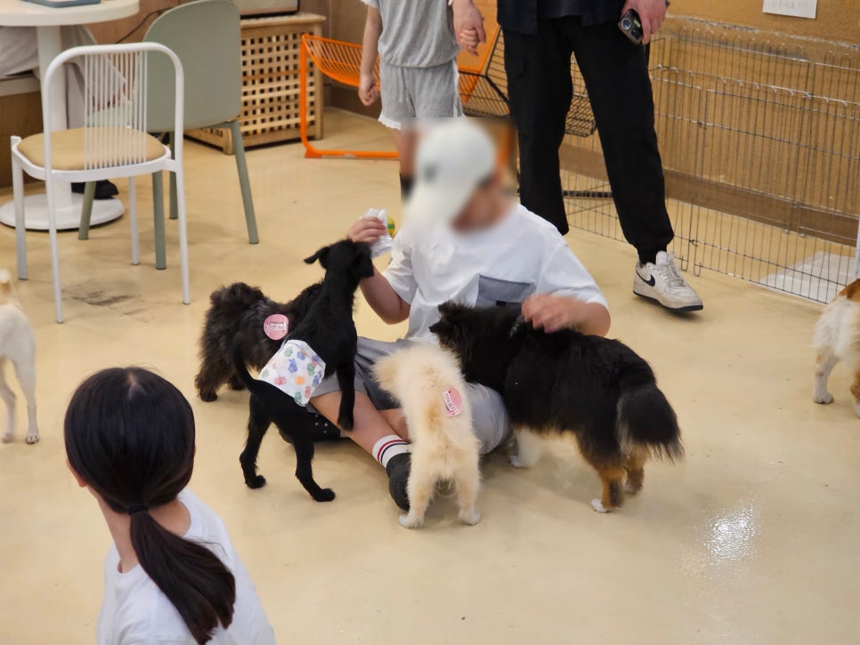 부천 멍스냅 애견카페: 유기견 교감 & 입장료 후기 — 사진 15