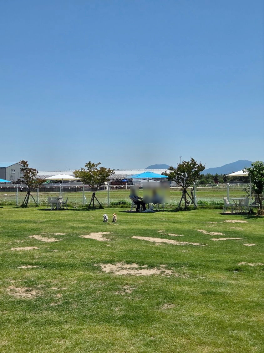 부산 애견카페 하이멍, 친구와 함께한 즐거운 후기 — 사진 15