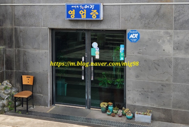 어가 사진 6