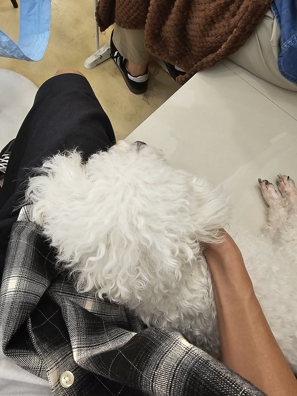 부천 멍스냅 애견카페: 유기견 교감 & 입장료 후기 — 사진 13