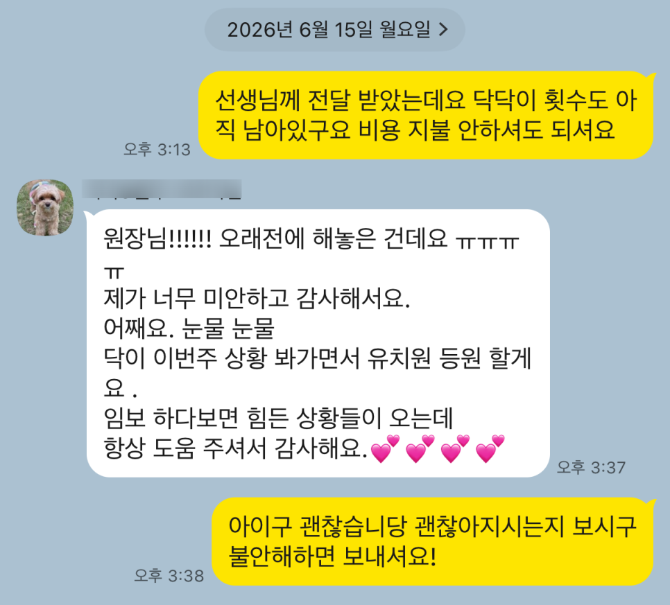 분리불안 강아지 애견유치원 적응기: 뭉개구름 솔직 후기 — 사진 6