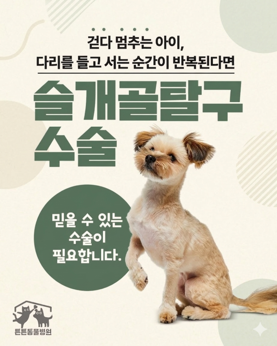 위례 강아지 슬개골탈구 TTT 수술 후기 및 비용 안내 — 사진 5