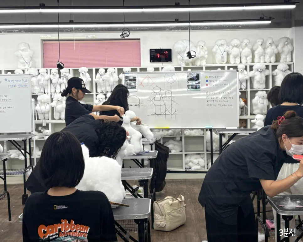 노원 애견미용학원 선택 가이드: 8개월차 예비 미용사의 현실 조언 — 사진 2