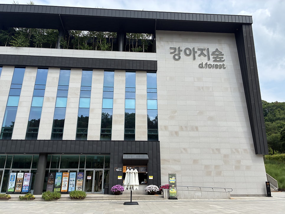 춘천 네이처풀 강아지 수영장, 당일치기 물놀이 후기 — 사진 2