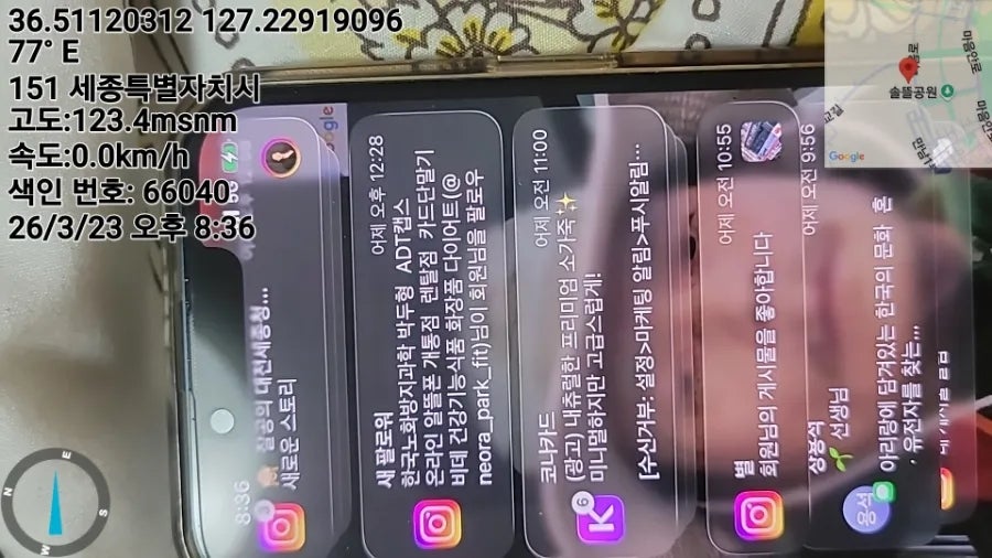 강아지 슬개골탈구 수술 비용 및 회복 과정 안내 — 사진 3