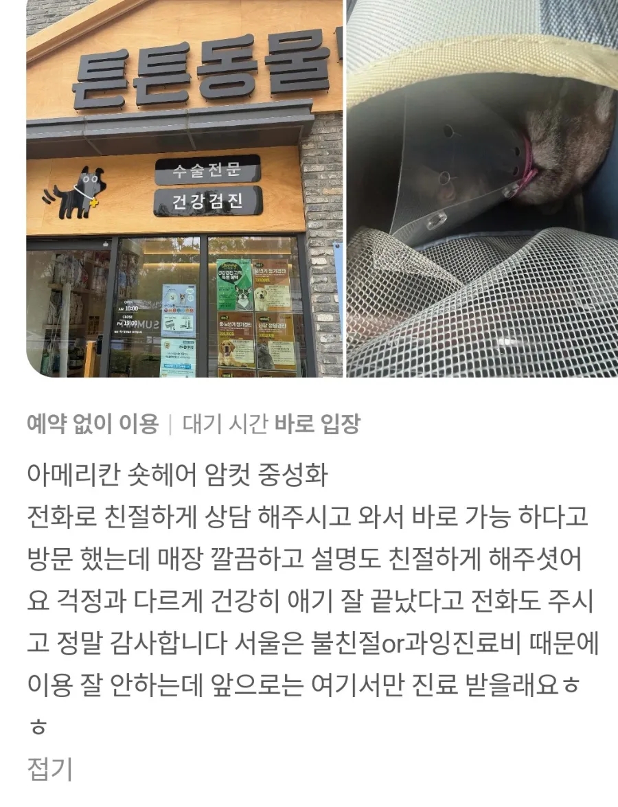 강아지 중성화 수술, 위례 튼튼동물병원에서 안전하게! — 사진 5