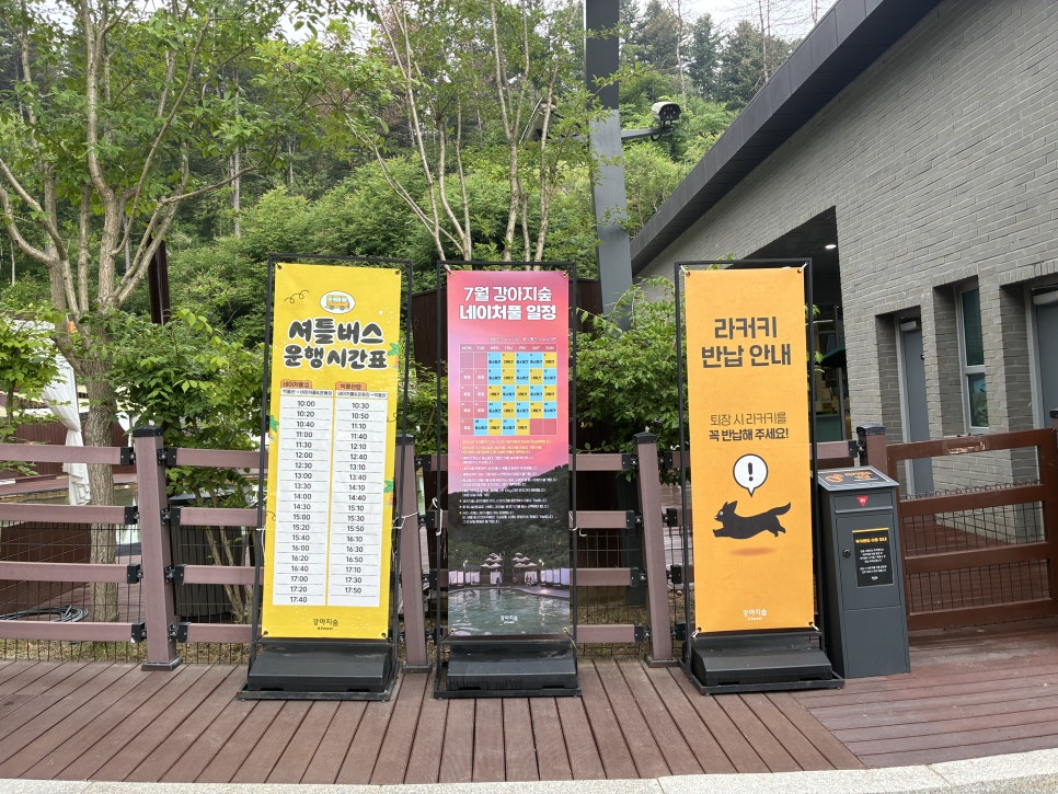 춘천 네이처풀 강아지 수영장, 당일치기 물놀이 후기 — 사진 5