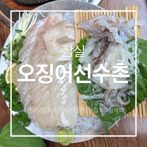 오징어선수촌 잠실점 사진 3
