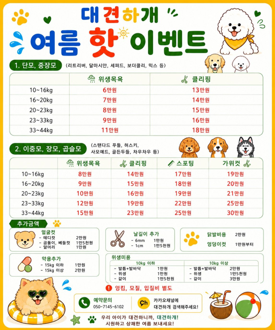 부산 서면 강아지 미용, 24시 도그드림 내돈내산 후기 — 사진 3
