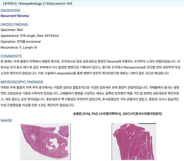 강릉 속초 고양이 종양 재발 수술, CT 정밀 진단 후기 — 사진 8