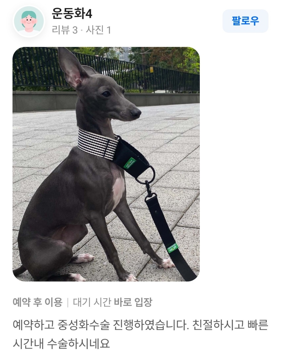 강아지 중성화 수술, 위례 튼튼동물병원에서 안전하게! — 사진 7
