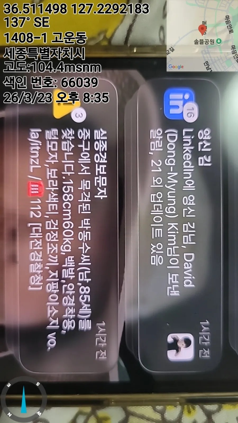 강아지 슬개골탈구 수술 비용 및 회복 과정 안내 — 사진 4