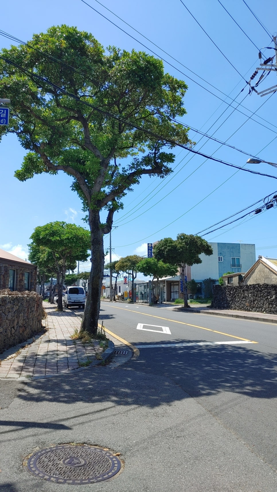 숙이네보리빵 사진 2