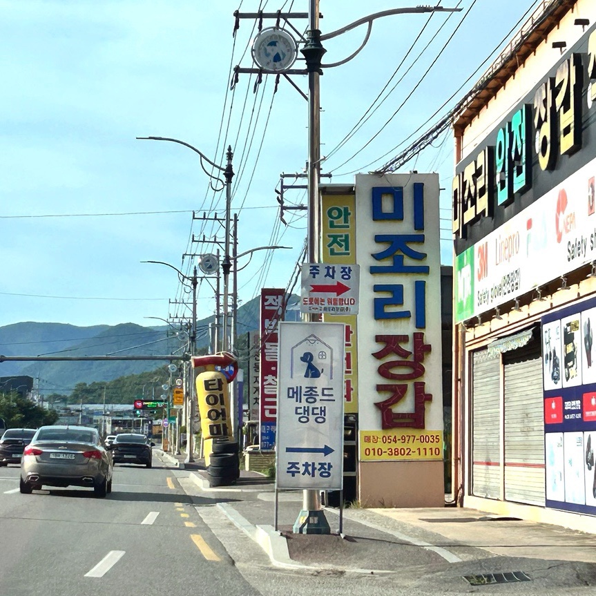 대구 칠곡 메종드댕댕, 강아지 신나게 뛰어놀아요! — 사진 2