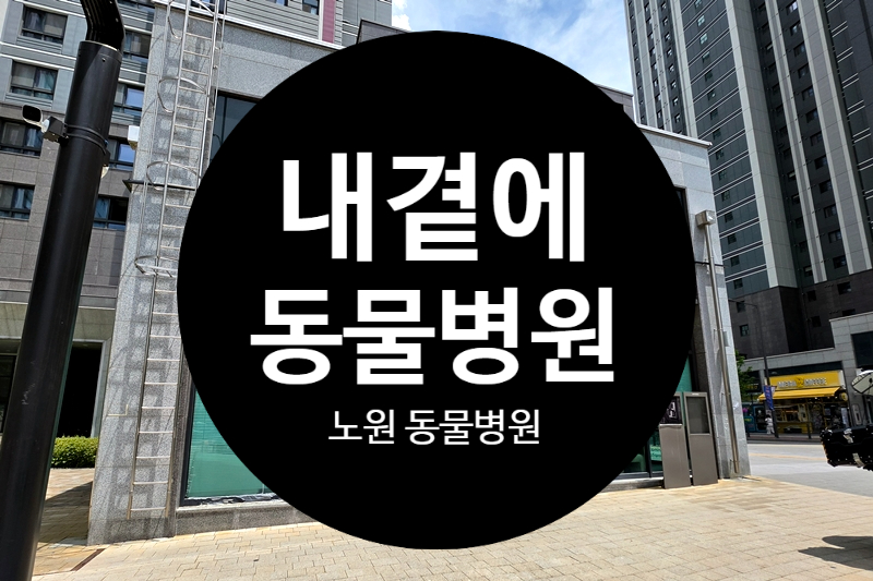 노원 강아지 건강검진 비용 및 후기: 내곁에동물병원