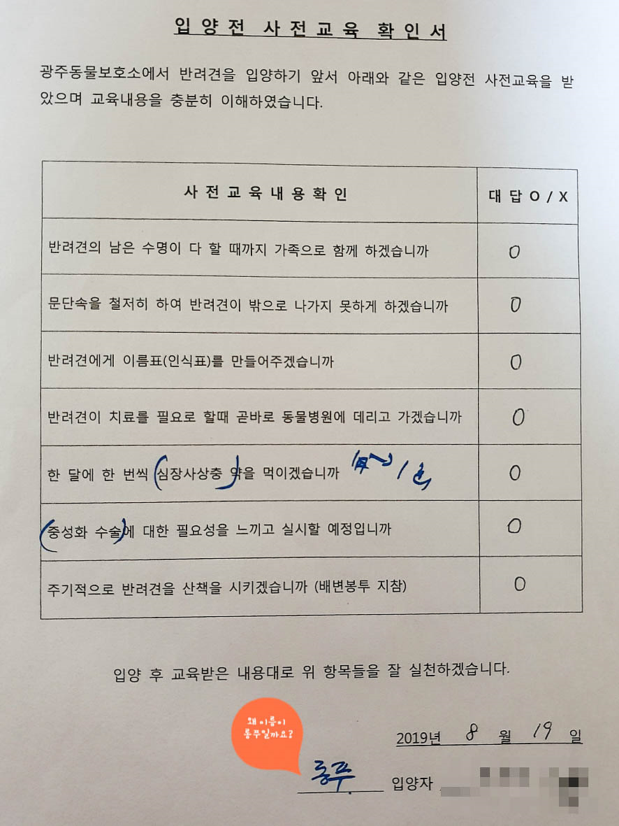 유기견 입양 절차: 임시보호부터 정식 가족 되기까지 — 사진 3