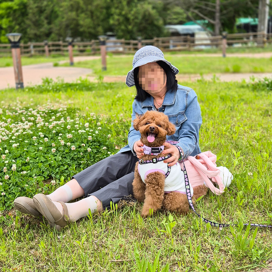 유기견 입양 절차: 임시보호부터 정식 가족 되기까지 — 사진 7