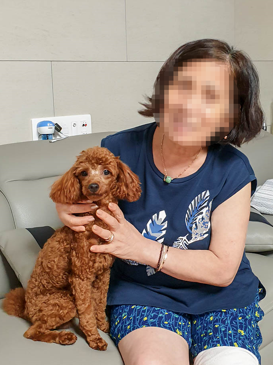 유기견 입양 절차: 임시보호부터 정식 가족 되기까지 — 사진 6