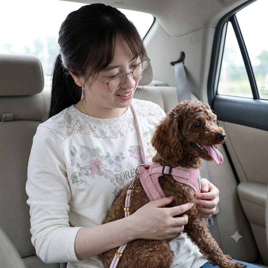 유기견 입양 절차: 임시보호부터 정식 가족 되기까지 — 사진 5
