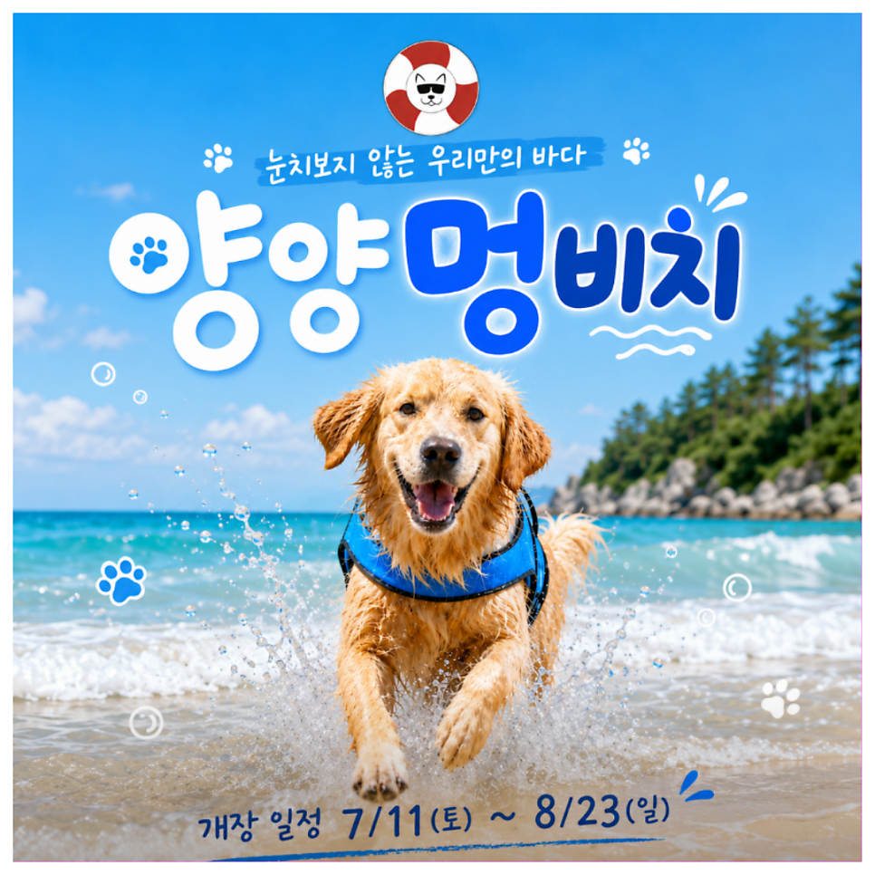 양양 멍비치 강아지 동반 여름 바다 여행 준비물 및 이용 꿀팁 — 사진 2