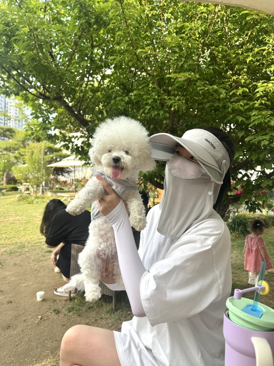 동탄 애견카페 추천: 강아지 놀이터 BEST 3 솔직 후기 — 사진 8