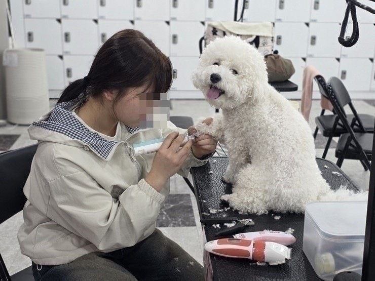 수원 애견미용학원, 직장인 야간반 상담 후기 — 사진 12