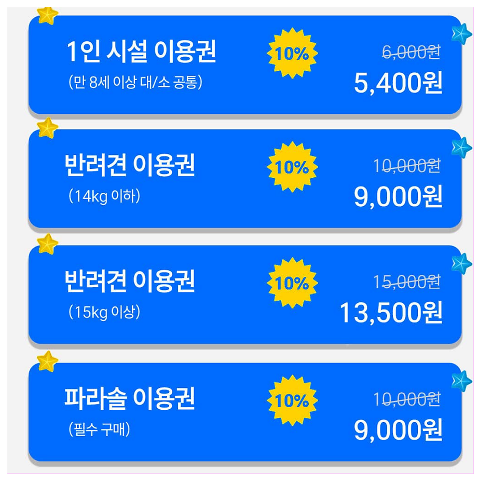 양양 멍비치 강아지 동반 여름 바다 여행 준비물 및 이용 꿀팁 — 사진 3