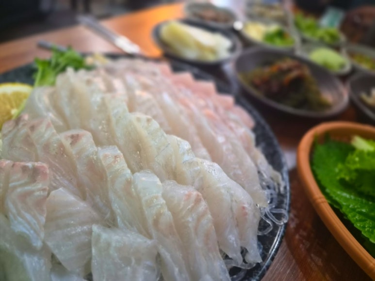 팔딱팔딱 사진 3