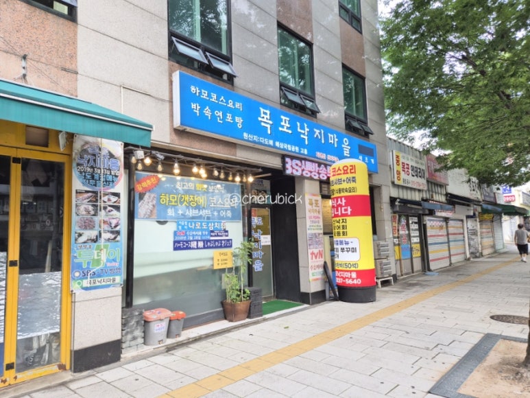 목포낙지마을 사진 2