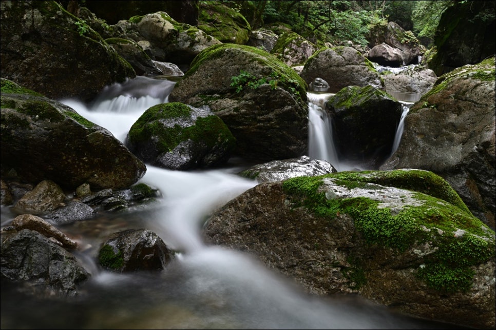 지장산 사진 4