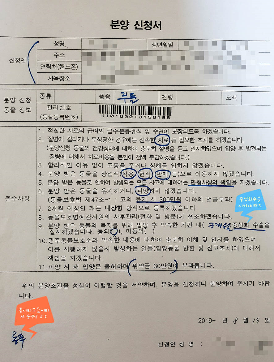 유기견 입양 절차: 임시보호부터 정식 가족 되기까지 — 사진 4