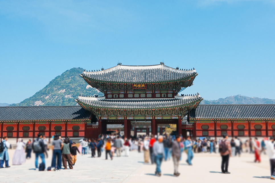 서울 경복궁 데이트 코스: 서울 종로 가볼만한곳 추천