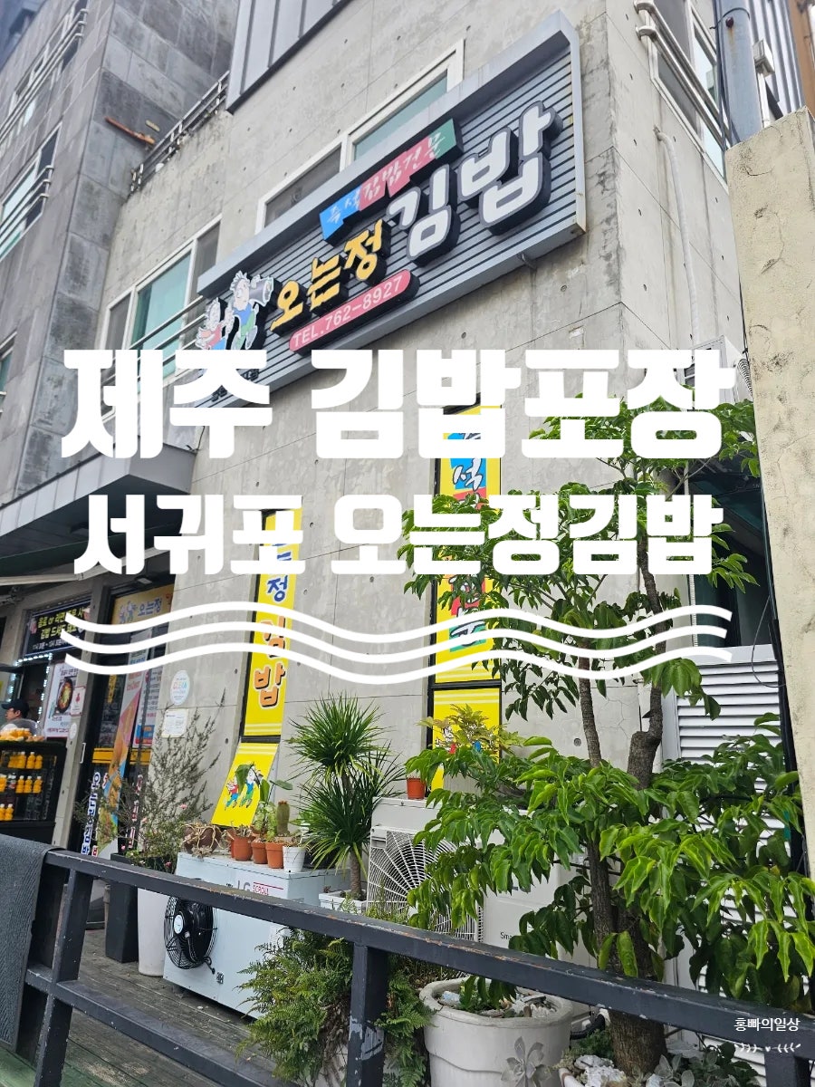 제주 제주 서귀포 오는정김밥, 현장 구매 및 예약 꿀팁