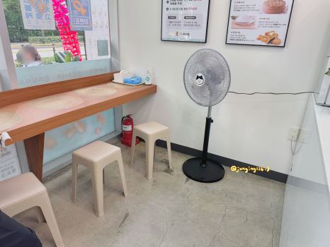 꽈백최선생 사진 6