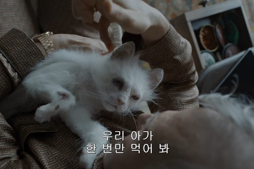 톰 크루즈 충격 비주얼 코미디 컴백 영화 디거 예고편 정보 오스카 노리나 논란이 다시 살아나는 중이다 이미지 4