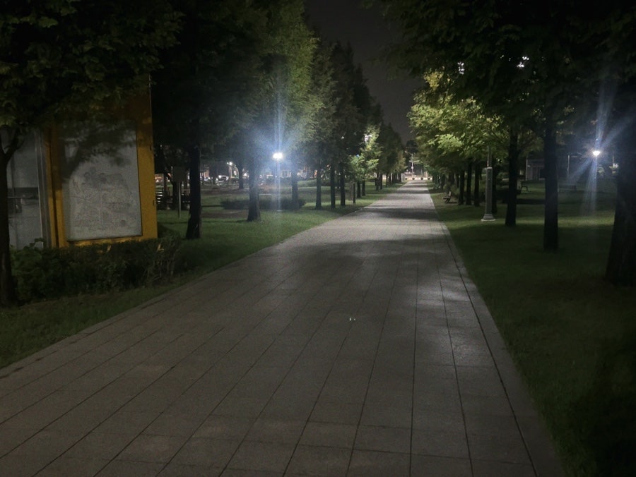 봄의정원 성수점 사진 8
