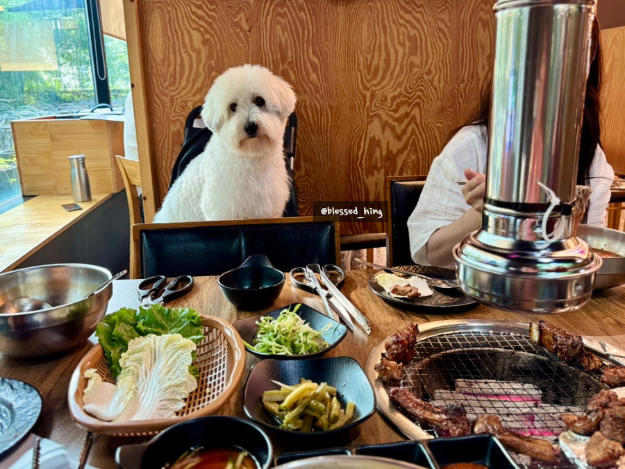 송도유원지 애견동반 식당 휴그릴, 반려견과 함께하는 맛있는 식사 — 사진 2