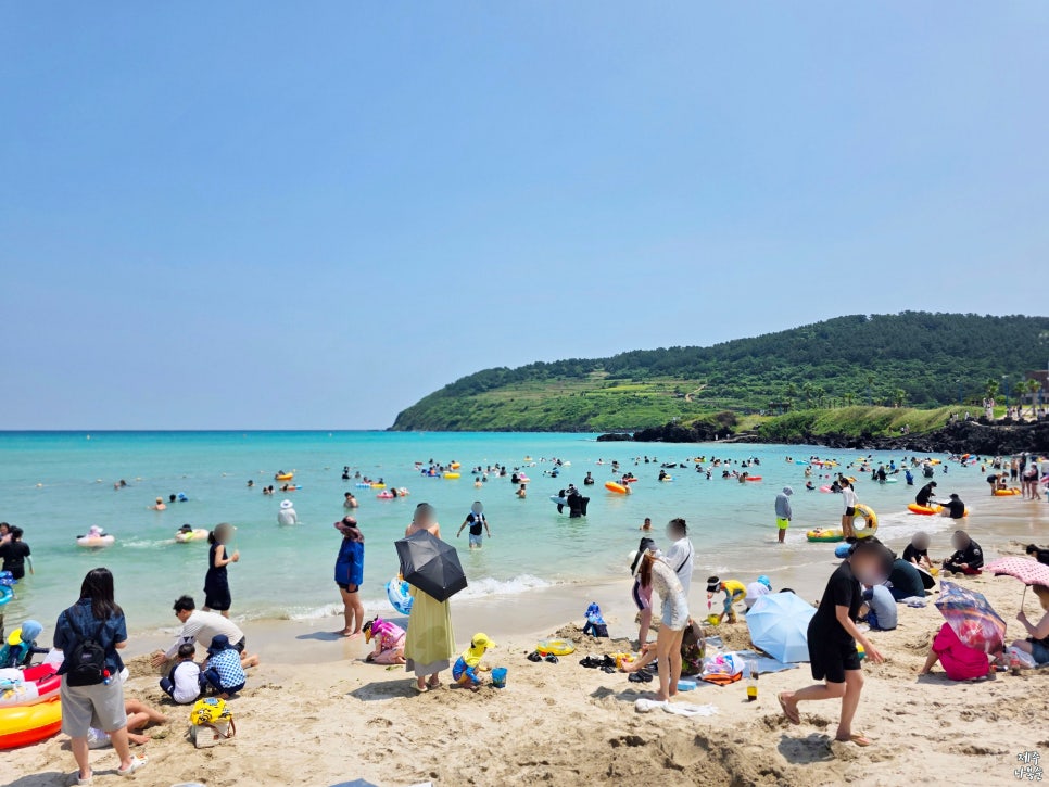 제주도 아이와 함께 미니버스 투어 코스 추천 — 여행 사진
