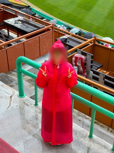 본비케이크 사진 5